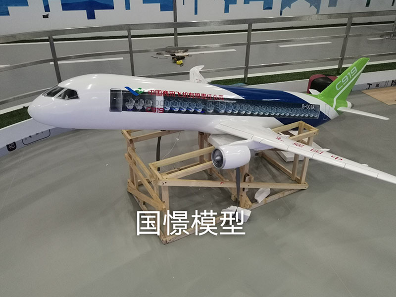 临湘市飞机模型